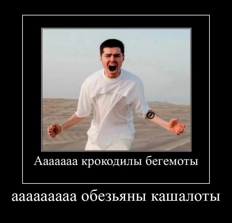 Anna Filonova tweet media