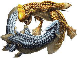 @Miga2580 謎の覇種から作れる防具でした。 