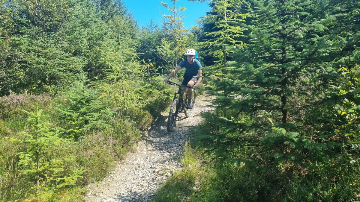 Red Rose 2024 tweet media