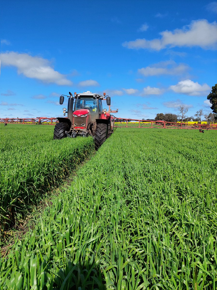 oldfield_ben's tweet image. Spraying is up to date... now it's tour time 🙂🍻 #SA #speedfreaks @Doctor_650 @BrettPage72 @DohntLuke @BraydonKeech @Albeveridge1 @nathansawyer94 @Beauvalley91 @CJSouth6 @bullockhills @ryan_milgate