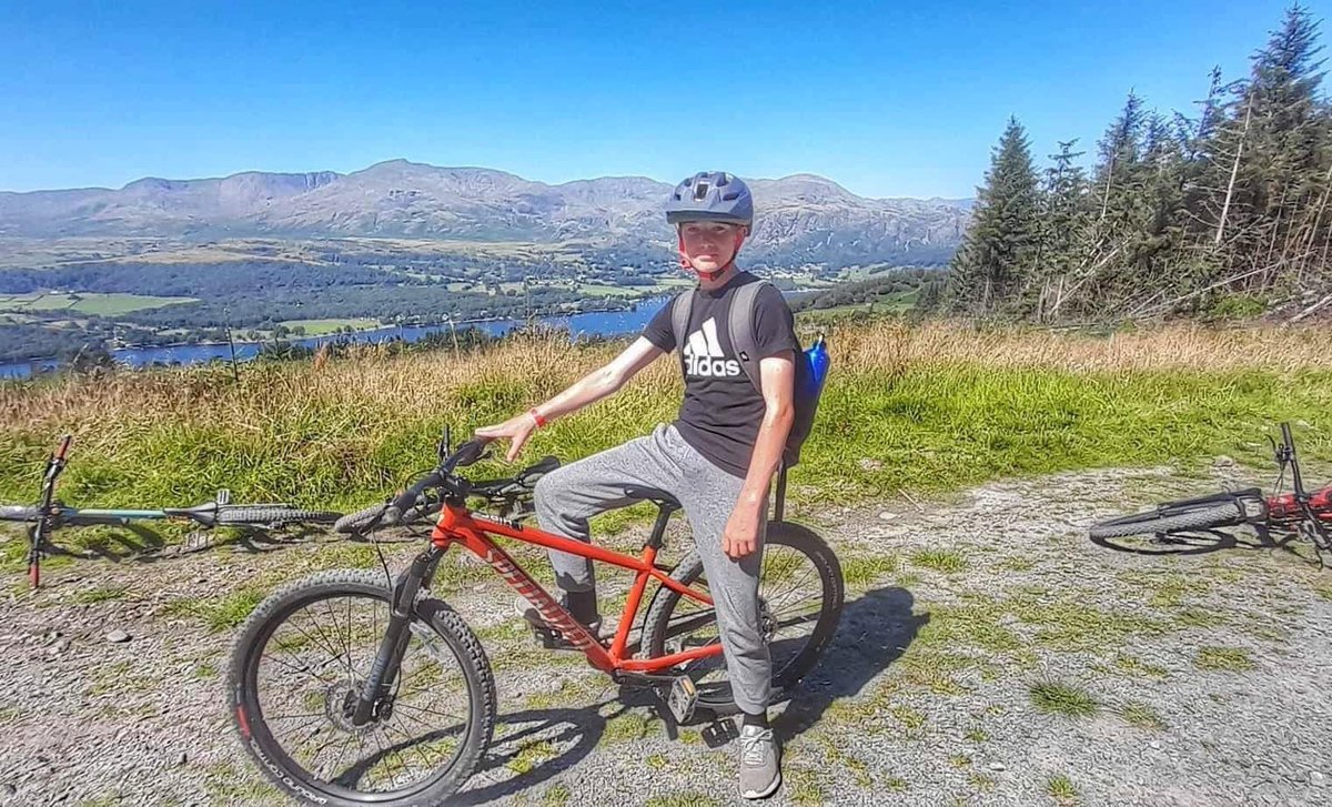 Red Rose 2024 tweet media