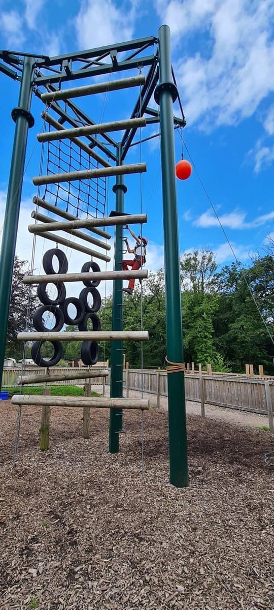 Red Rose 2024 tweet media