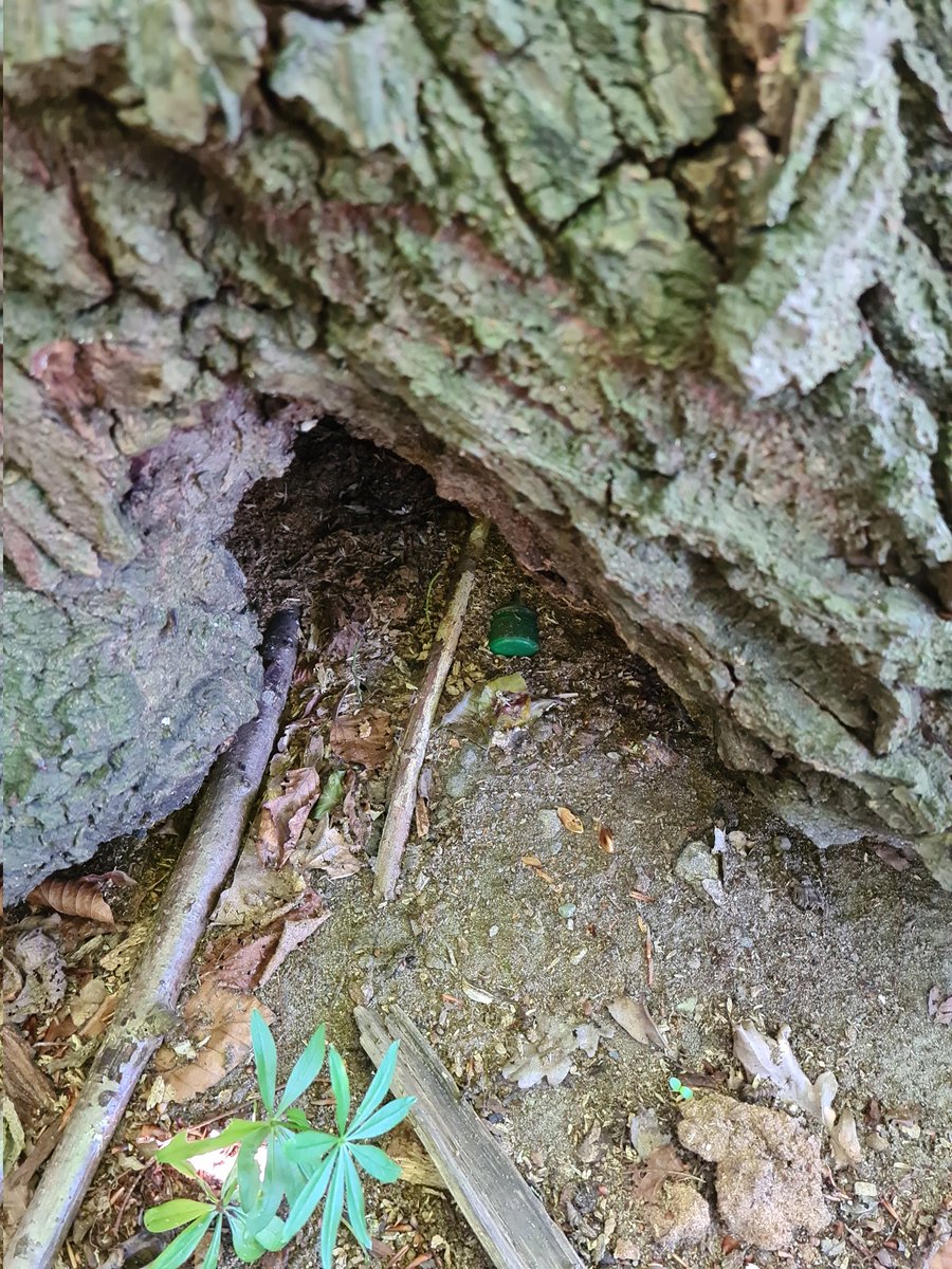 Noch ein Geoblog tweet media