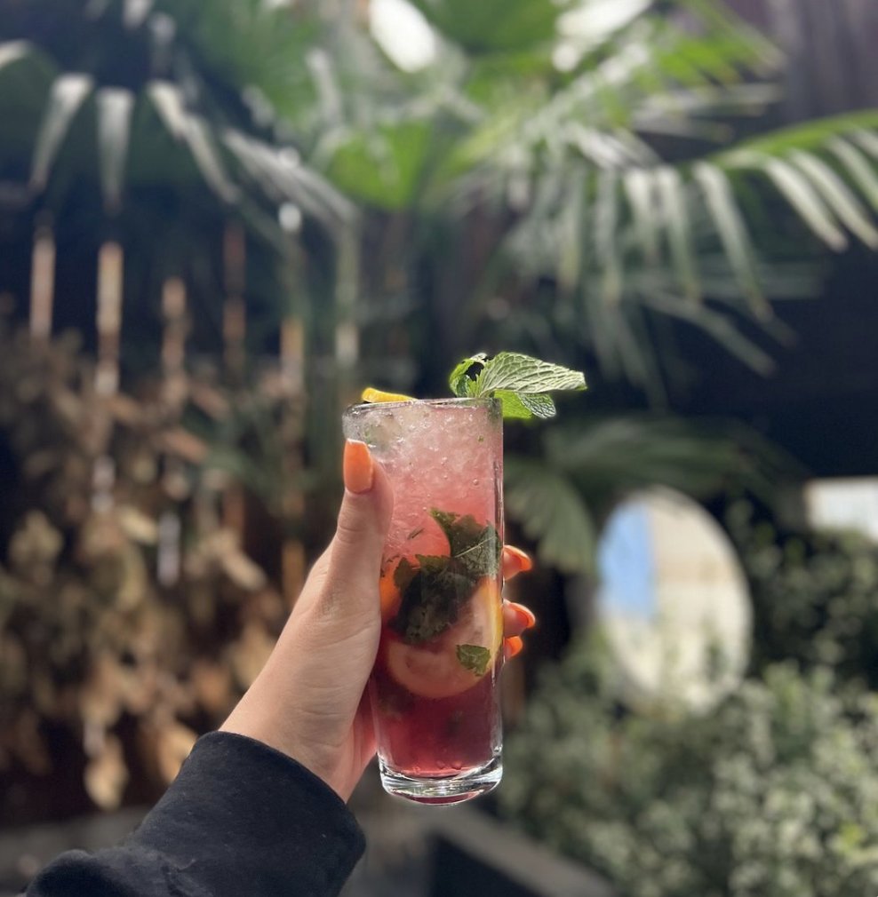 MolokoLiverpool's tweet photo. If you're not spending this heatwave in a beer garden then you're certainly not spending it right ☀️

2-4-£10 cocktails until 6pm 🍹 https://t.co/lBiCMVtNzj