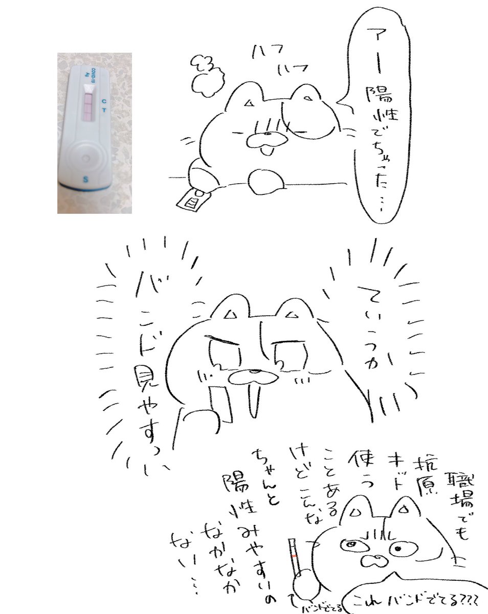 感動するのそこかよっていう 