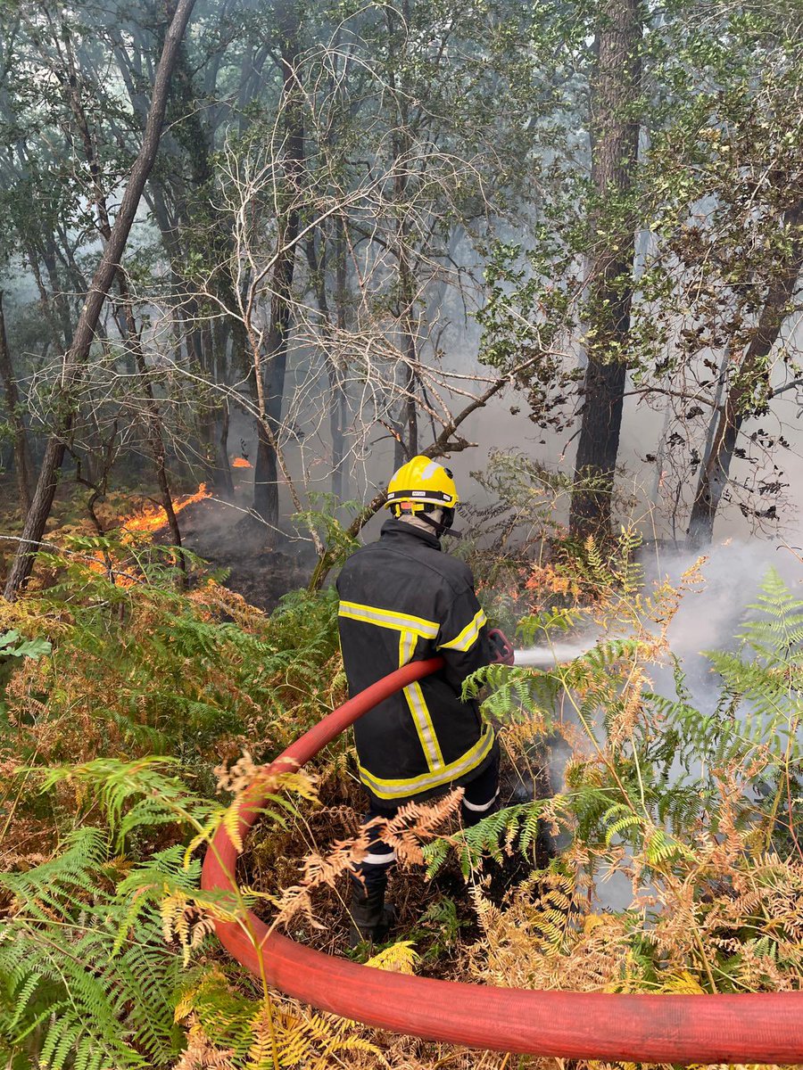 PompierAir's tweet photo. Derrière nos équipes d’intervention, ce sont des dizaines de militaires (BA120, EMA) qui s’impliquent jour et nuit dans la lutte contre les incendies !
#armees #incendies #gironde #pompiersmilitaires #baseaerienne #BA120 #armeedeterre #armeedelairetdelespace https://t.co/7SWzvzEGO4