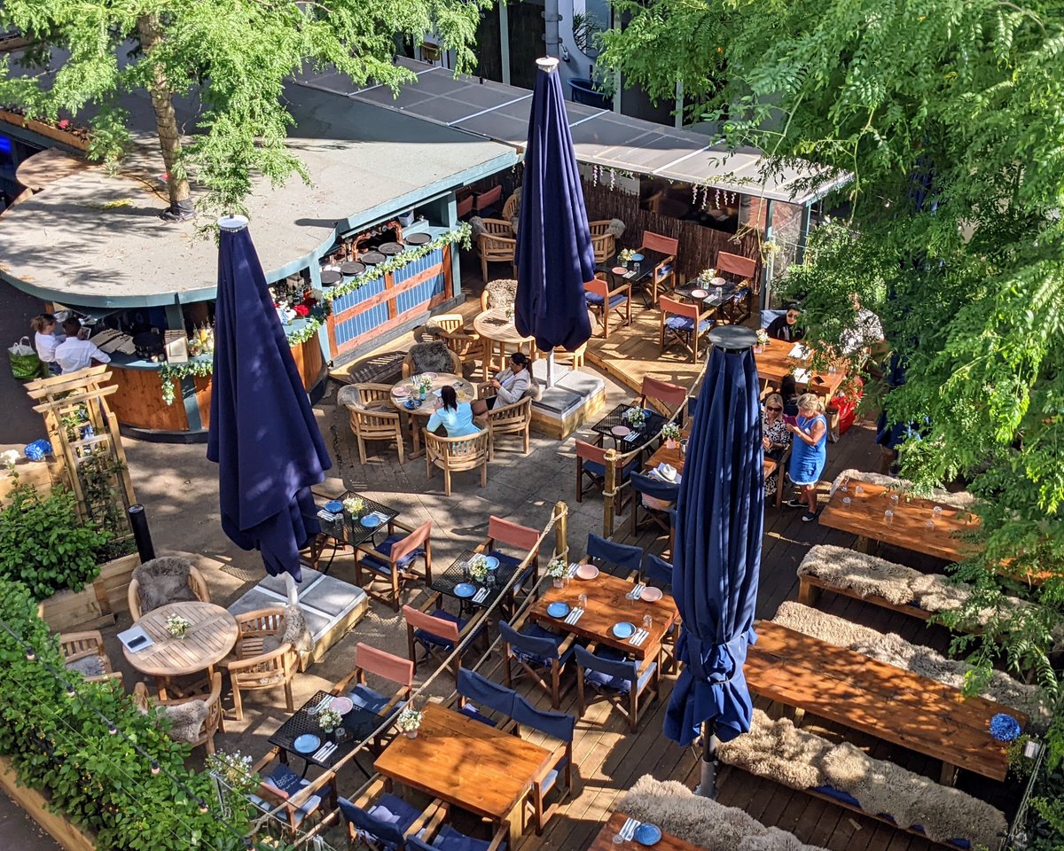 Patch on the Plaza tweet media