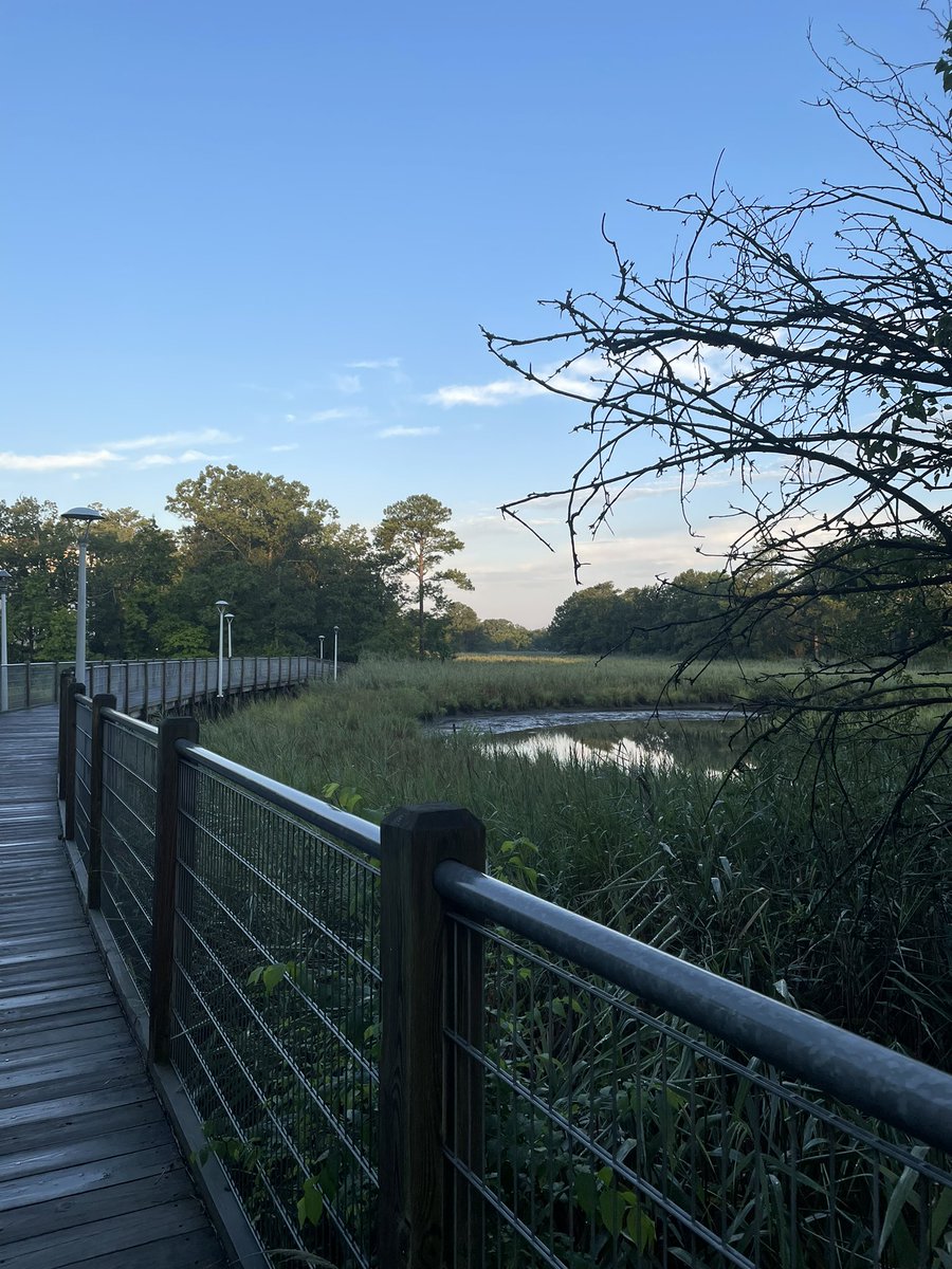 Roger Gordon tweet media