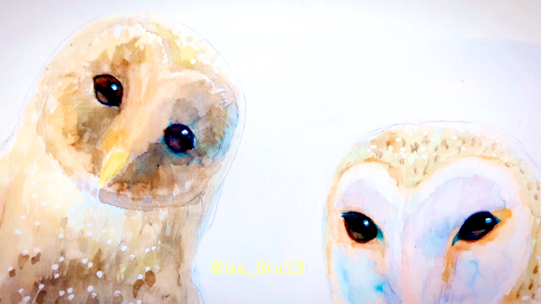 フクロウイラスト Twitter Search Twitter