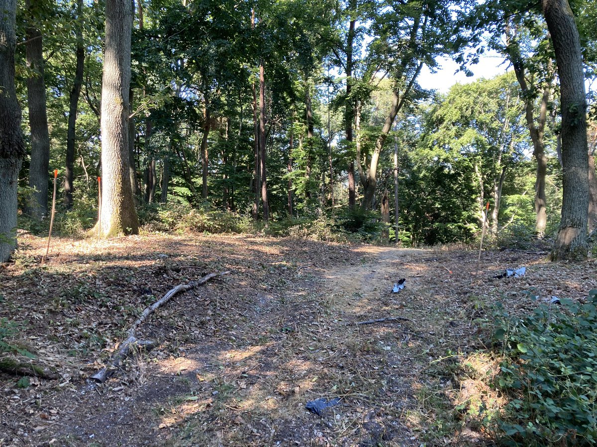 Detlef Gronenborn | @dgron.bsky.social (@dgronenborn) on Twitter photo Kapellenberg field school 2022: Forester <a href="/Leif_Leonhardt/">Leif Leonhardt</a> has cleared the ground and we expect to start on Monday, hoping to get more info on the large central #Neolithic tumulus.cambridge.org/core/journals/… Kapellenberg field school 2022: Forester <a href="/Leif_Leonhardt/">Leif Leonhardt</a> has cleared the ground and we expect to start on Monday, hoping to get more info on the large central #Neolithic tumulus.cambridge.org/core/journals/…