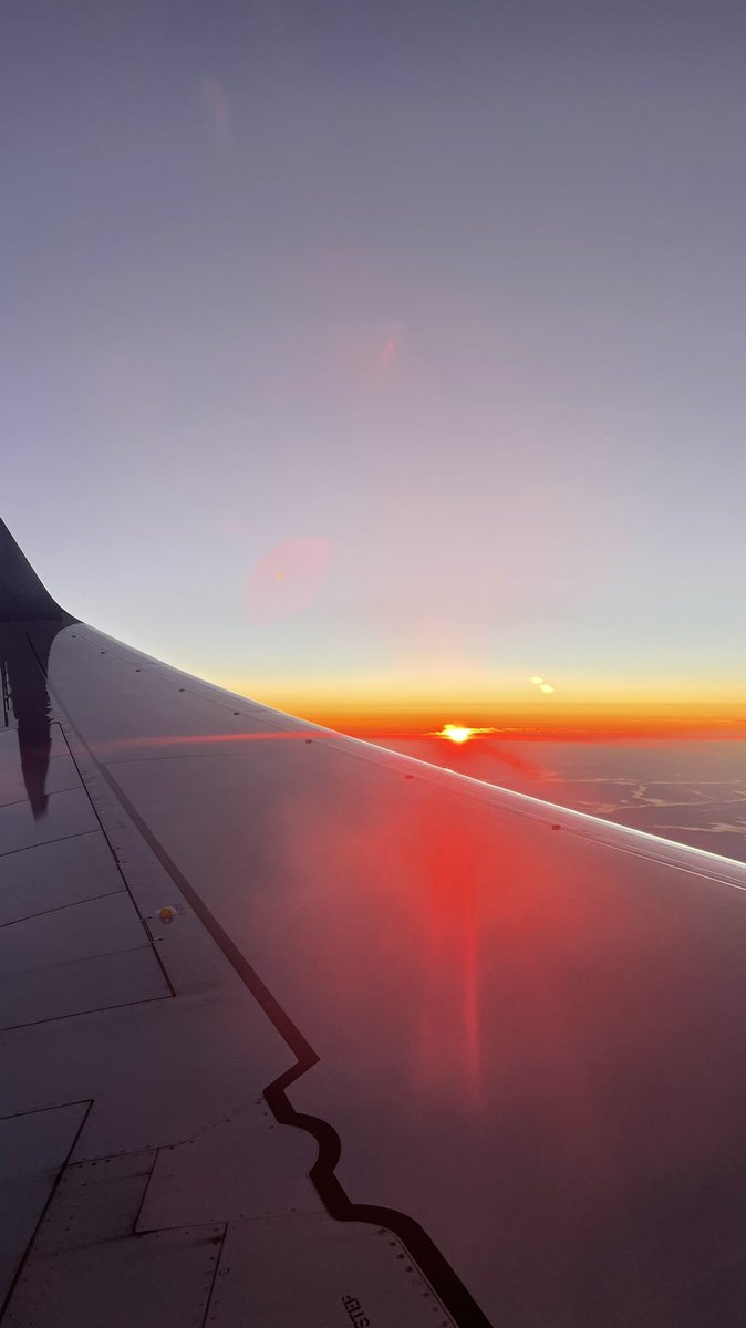 therealcipherking tweet media