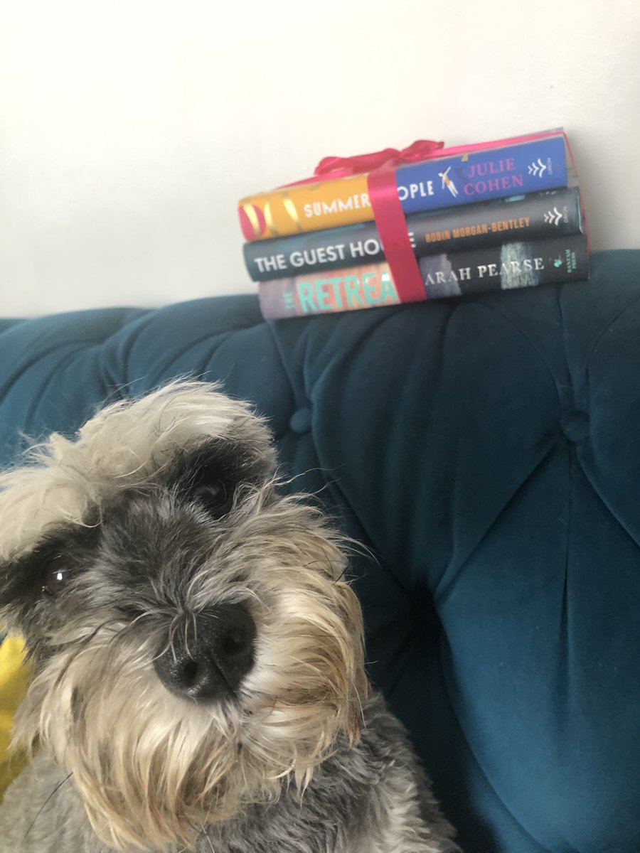 Tessa wanted to get in on the action with my bookmail from @bertsbooks with #SummerPeople by @julie_cohen, #TheGuestHouse by @rmorganbentley and #TheRetreat by @SarahVPearse. I don’t think Tessa will help me fit them into my burgeoning tbr though.  #BookishSchnauzer