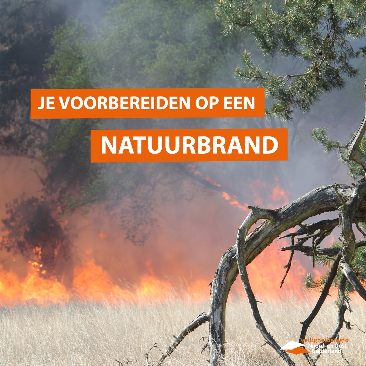 | ???? ???????????????????????? ???? ?????? ?????????????????????? Het is al langere tijd droog in de natuur.