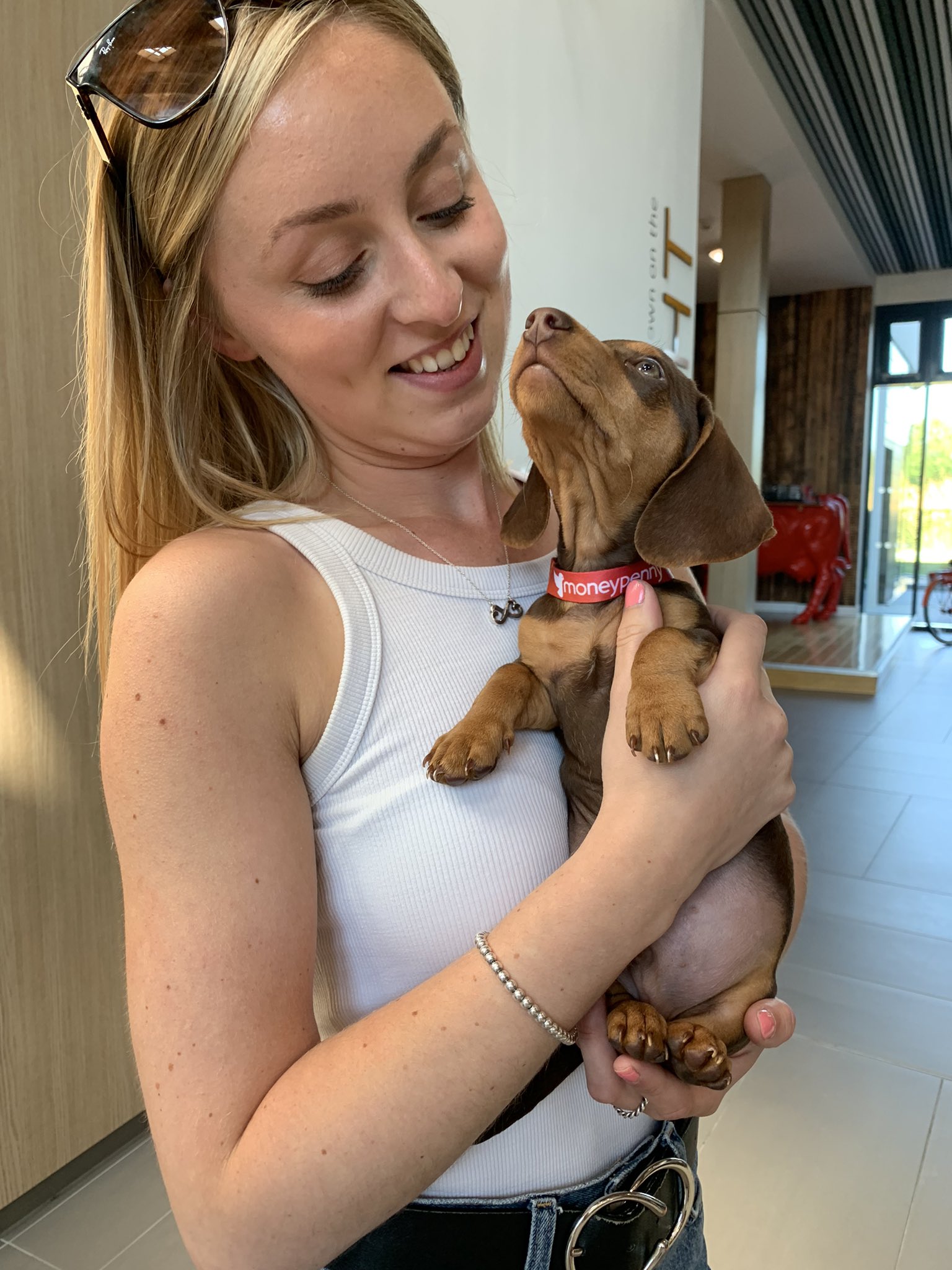 Ted babes, you're welcome back anytime - just swipe your pass at the door ... we'll get you a step ladder 🐶🌭😍 https://t.co/uYjNgzJ3rf