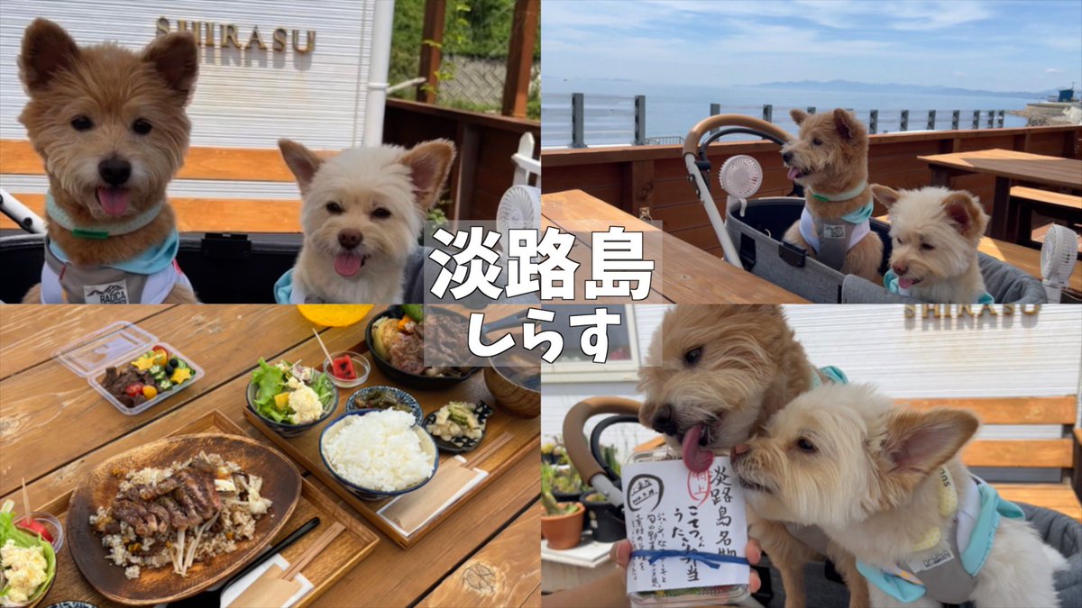 cotetsu_uta's tweet photo. 淡路島にあるカフェで
海を見ながらお肉を食べて来ました😊
予約して愛犬のお肉弁当も
作ってもらって堪能しました☺️
是非見て下さい✨

https://t.co/oyya0r6yWW https://t.co/ZcFWmNsntT
