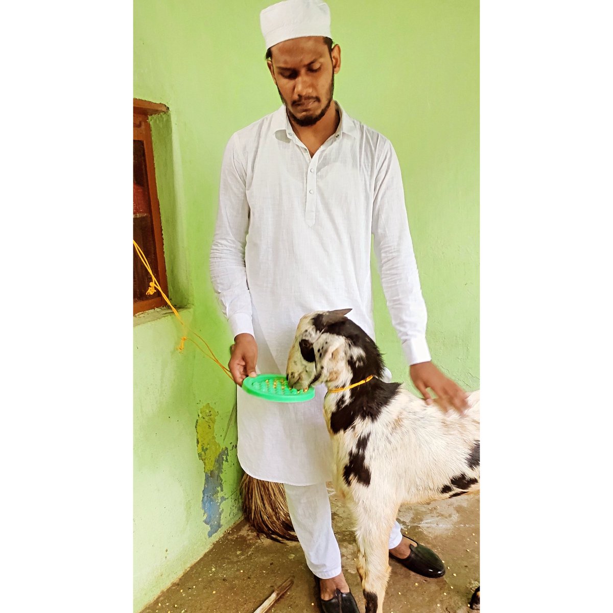 mohammadarbaz_'s tweet photo. THIS EID UL AZHA 2022...☝🤲❤🐑#eidmubarak #islamyear1444 https://t.co/g37n74Y3GC