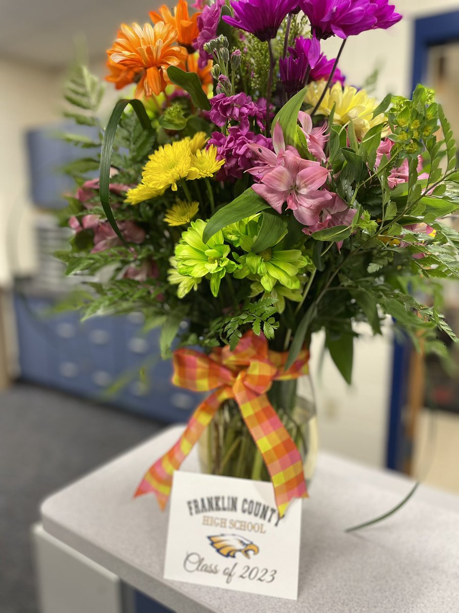 BIRD GANG tweet media