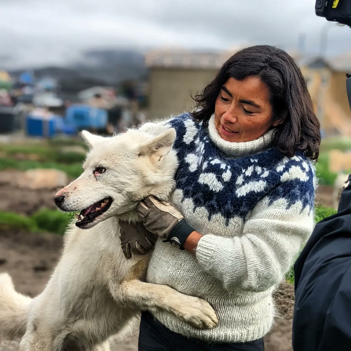 Steffan Griffiths tweet media