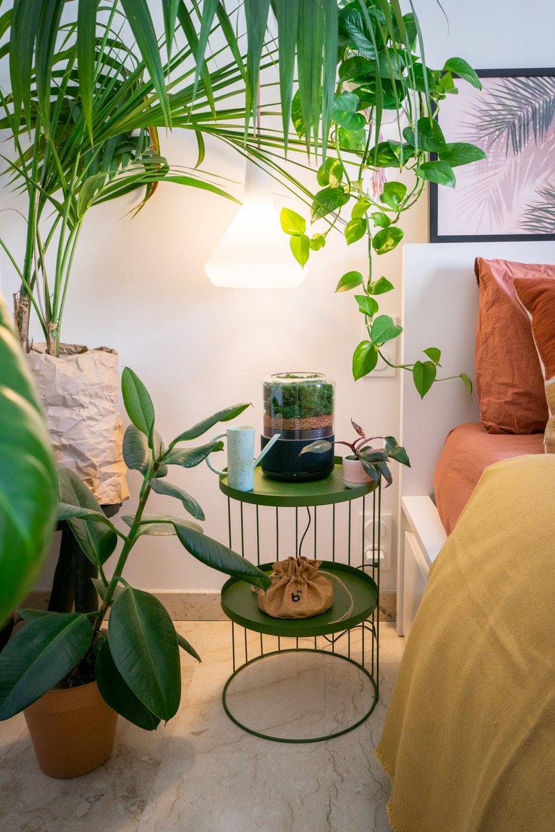 UrbanJungle Bloggers tweet media