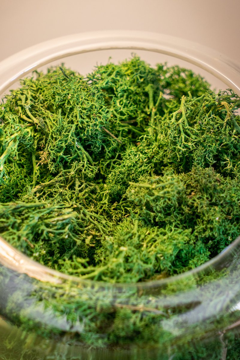 UrbanJungle Bloggers tweet media