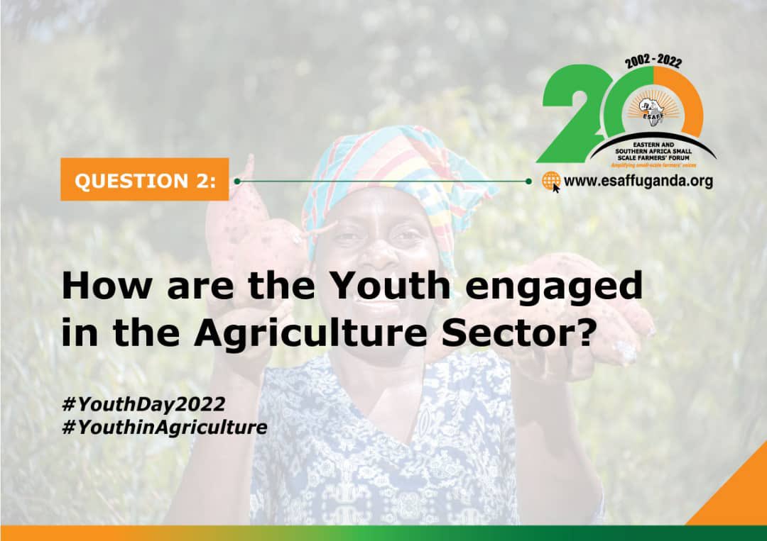 ESAFF Uganda tweet media