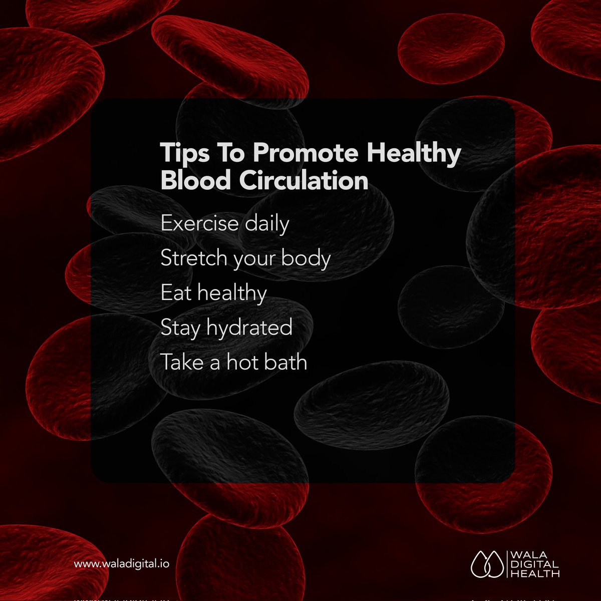 WalaDigital's tweet photo. Proper blood circulation is important for maintaining good health. Here are a few tips to boost your blood circulation. 

Save this post and share with a friend. https://t.co/ABjiI8MDIs