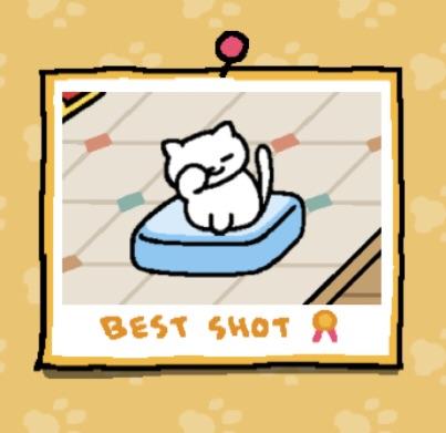 todays androgyne of the day is snowball from neko atsume!! (any pronouns)

a mellow white cat who is the first cat in the "catbook," a scrapbook where the player can store pictures of all their cat friends :)
