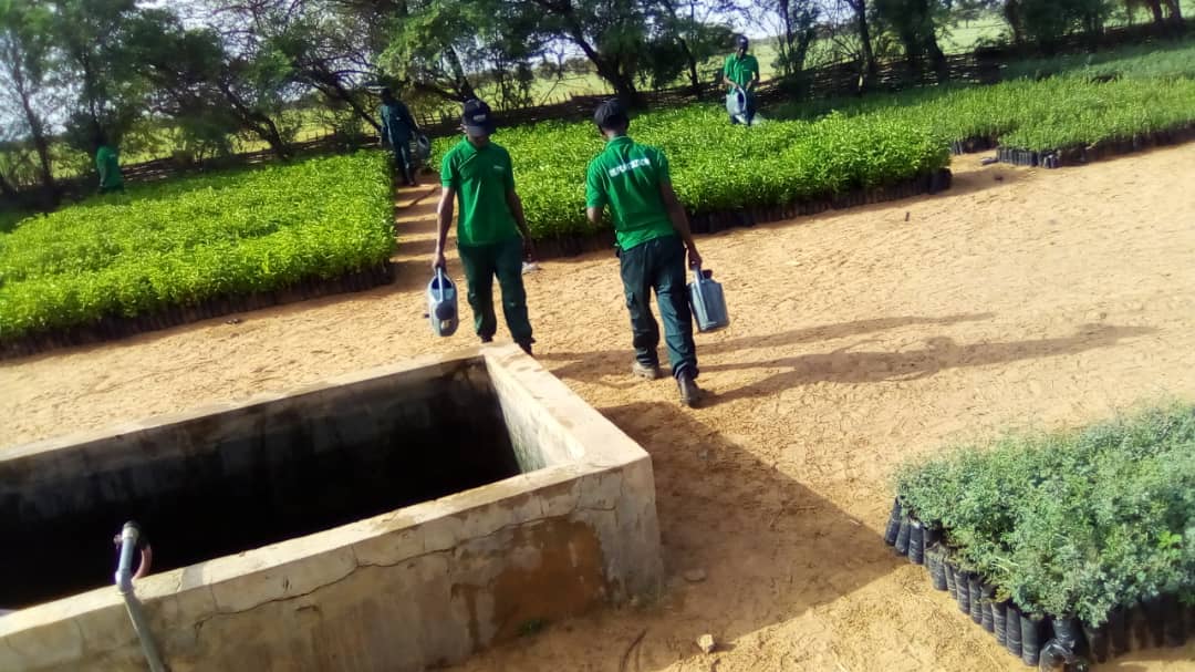 asergmv's tweet image. #Campagne_Nationale_de_Reboisement_2022 
Visite de la #Pépinière de Tessekere  commune située dans le département de Linguere. Pépinière florissante entretenue par les jeunes du programme Xeyu Ndaw Yi encadrés par les agents du Service des Eaux et Forêt 
#pse_vert  #kebetu