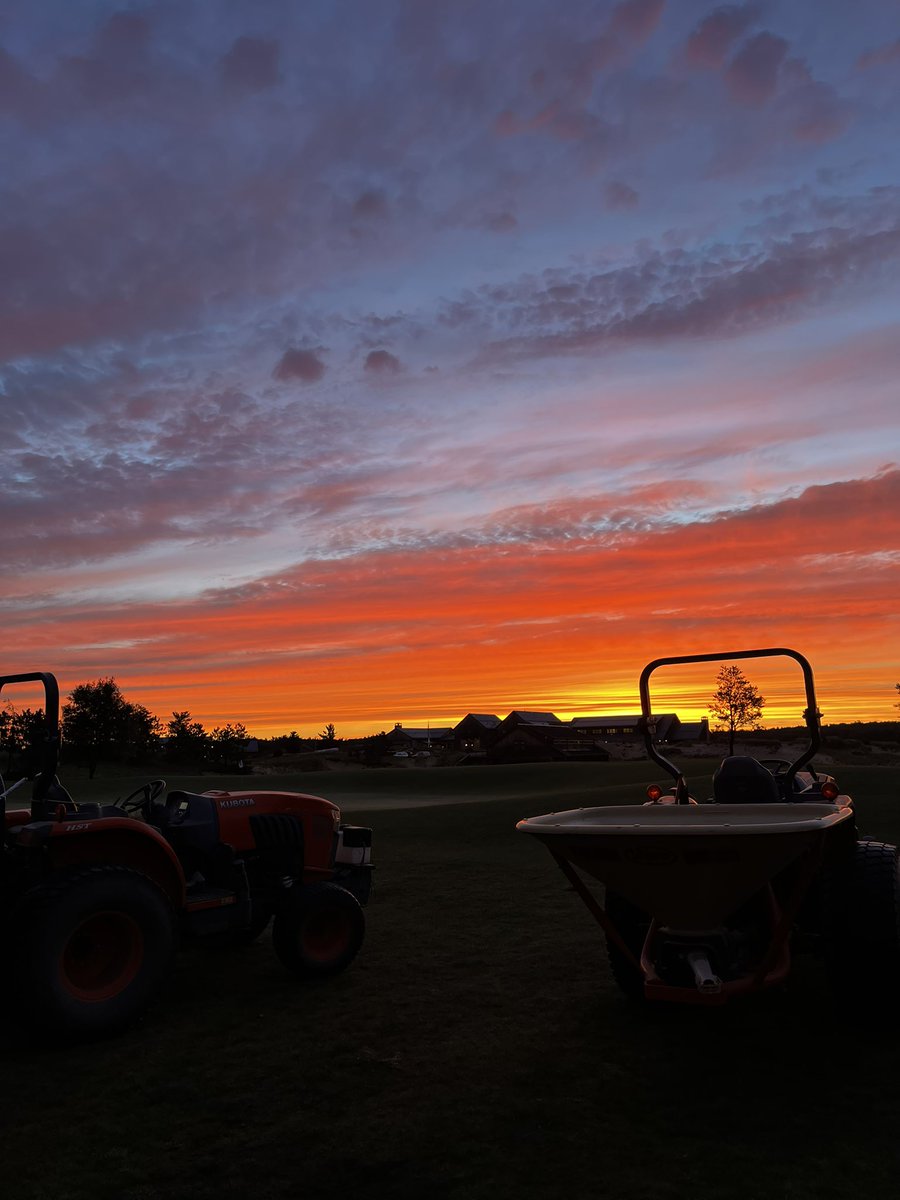 Tristan Wood tweet media