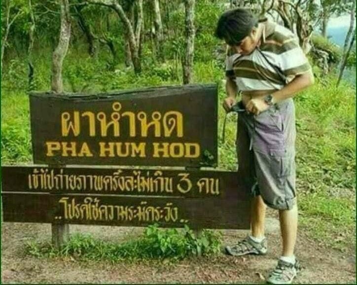 E-CATSSSSS อีแคท อีแมว ชาญสมร tweet media