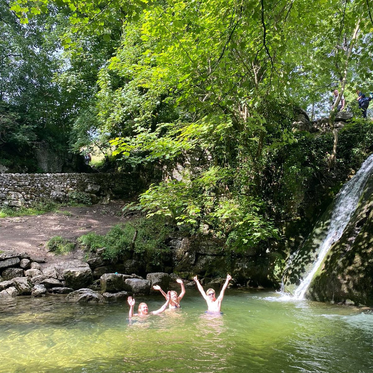 SLOW TEAM tweet media