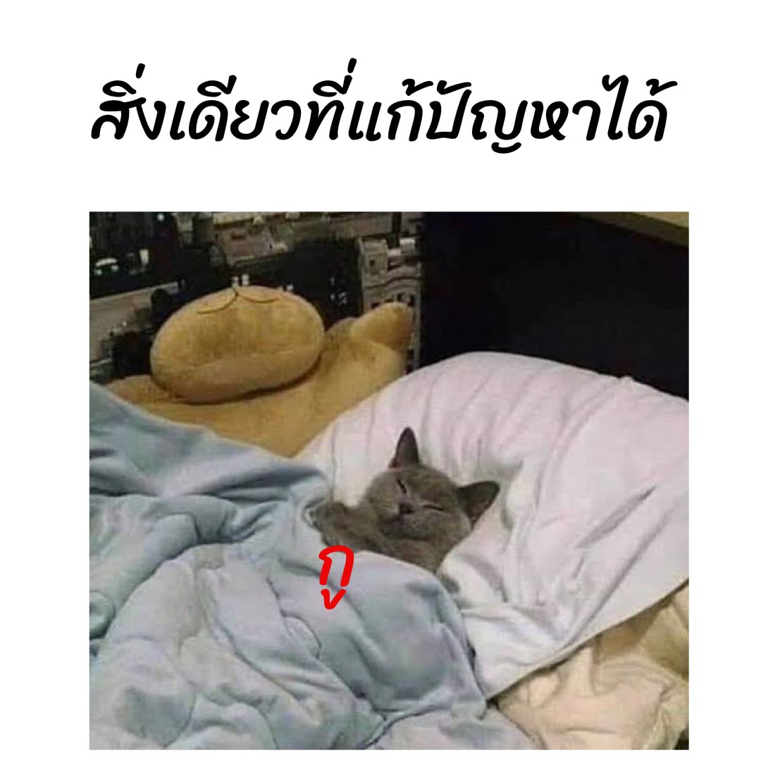 bbigkachu's tweet photo. คิดอะไรไม่ออกก็ขอนอนก่อนละกัน 55555555555555555555555555 https://t.co/WCaIQrQOt2