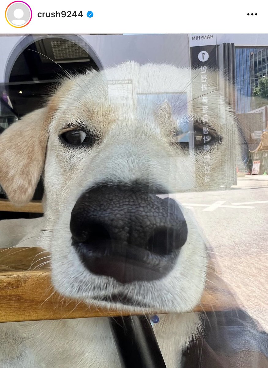 หมั่นไส้จอยครัช นางเอาอีกละ