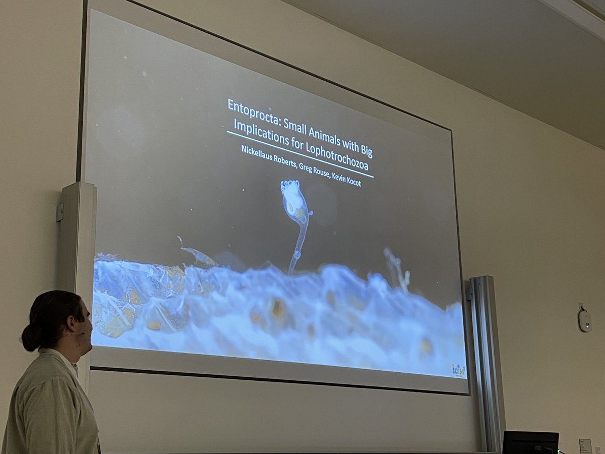 Wanninger Lab (@wanningerlab) on Twitter photo Entoprocts up <a href="/5Icim/">ICIM-5-Vienna-2022</a> by Nick Roberts. Where in the tree of life do they belong? Entoprocts up <a href="/5Icim/">ICIM-5-Vienna-2022</a> by Nick Roberts. Where in the tree of life do they belong?