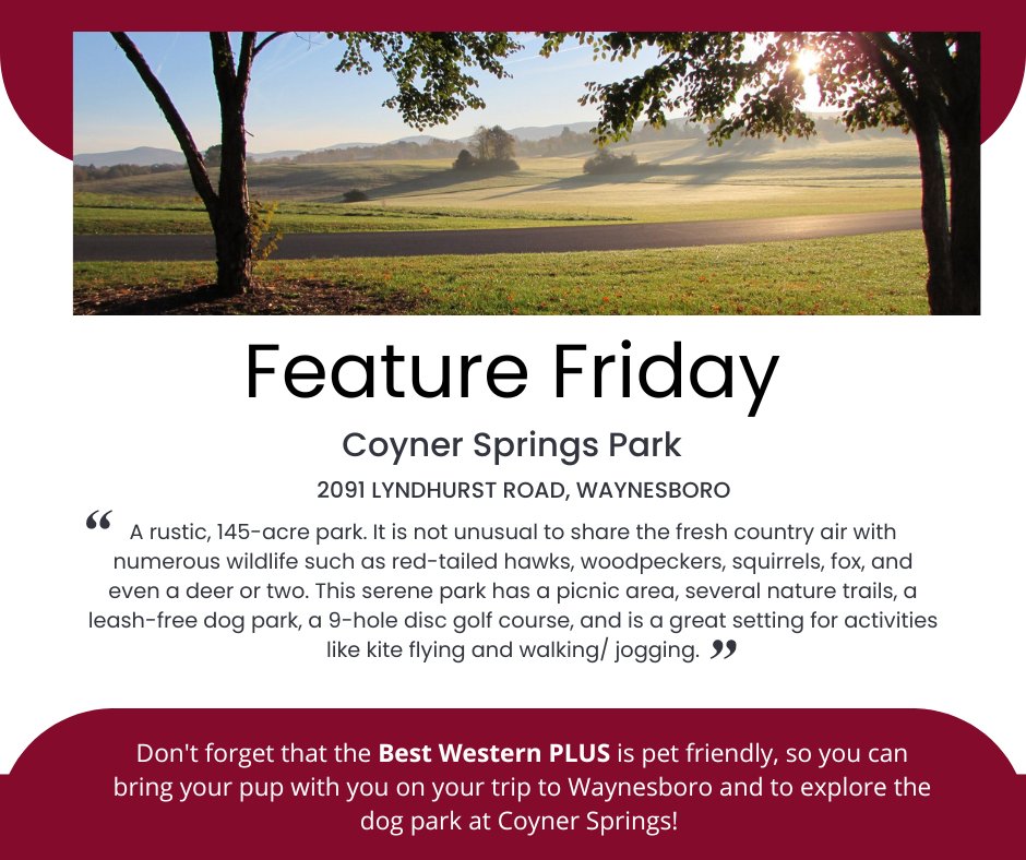 BWPluswboro's tweet photo. #FeatureFriday #WaynesboroVa https://t.co/S7PMcOACcI