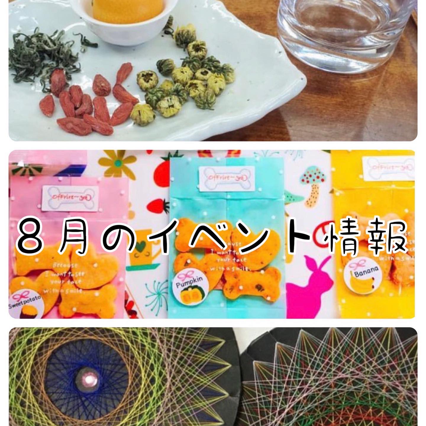 Dogcafe Twitter Search Twitter