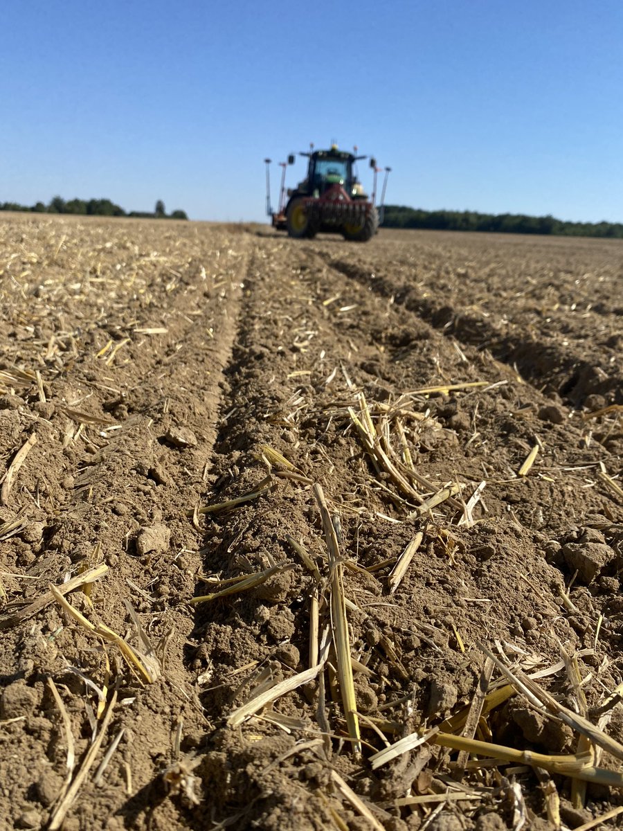 Mes premières graines semées de mon début de carrière 🌱 🚜 Ça fait quand un même un p’tit quelque chose 🥰 #colza #jeuneagriculteur #yonne #agriculture