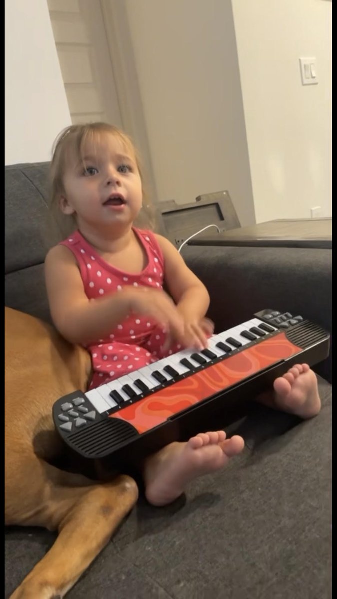 CourtReporterMA's tweet image. Miss Ava is trying out her typing skills on a newly discovered talent. 

To schedule a deposition call 781-383-1188 or visit us at Advancedcourt.com!

#courtreporting #litigation #lawyerslife #lawyering #lawoffice #deposition #lawfirm