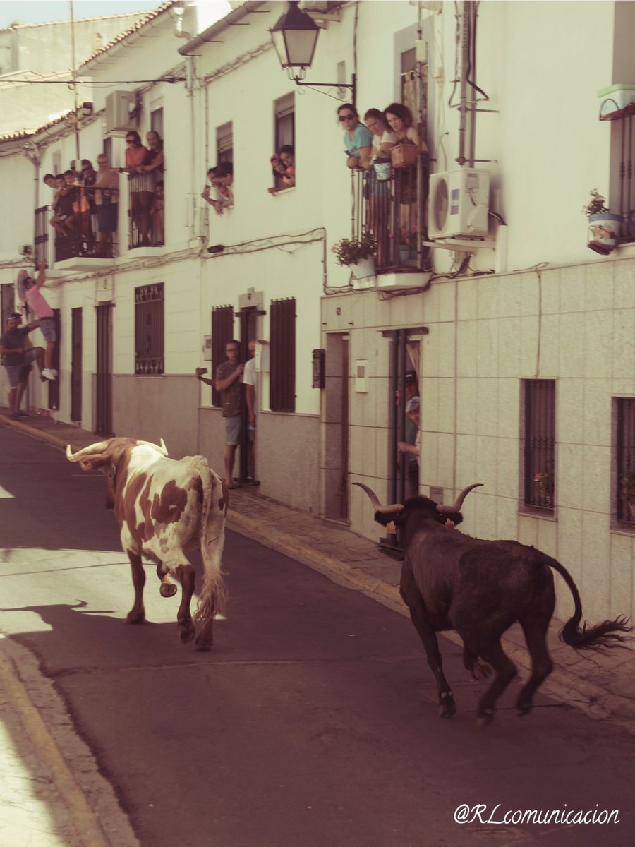 Ricardo López Comunicación 🗣️ tweet media