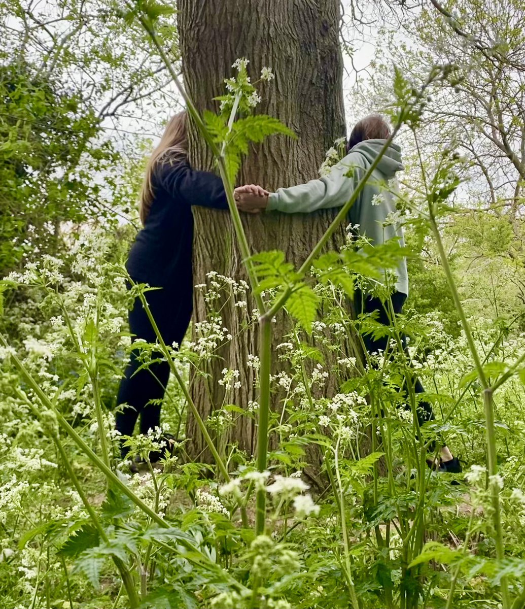 HilCoxCondron's tweet photo. Wishing you a nature loving, tree hugging and happy Friday. ♥️🌳
Just found this lovely photo of @northcamacademy students at Highfields @camcitco nature area - with @CambridgeCandI
#FridayFeeling #camtrees #creativeExplorers #artscapers https://t.co/lr4lIifJko