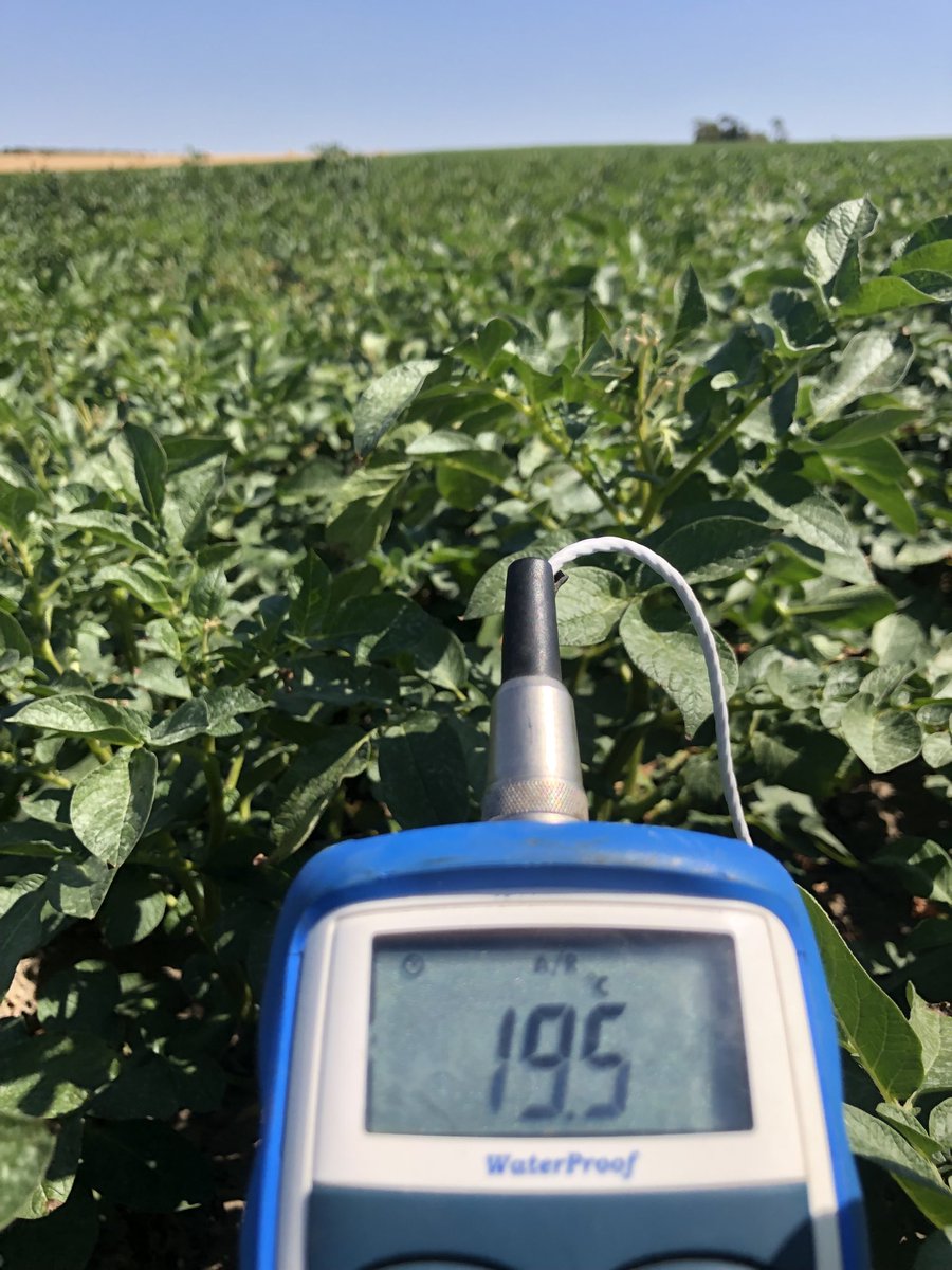 GrindlingRalph's tweet photo. soil temp under a good canopy in south cambs at midday https://t.co/MTEVN38mq5