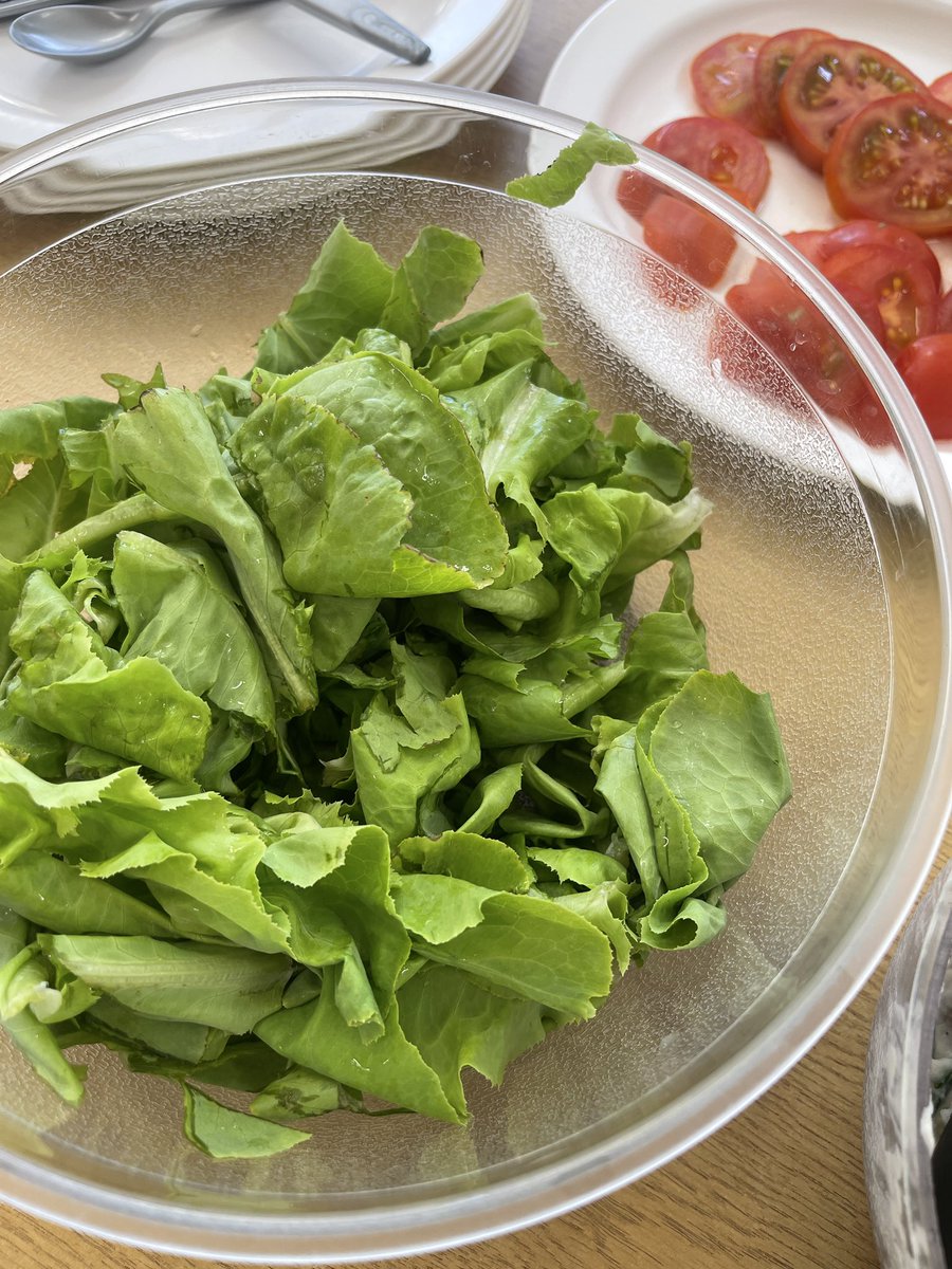 We were able to enjoy fresh tomatoes, potato salad and lettuce with our group lunch today using things grown in our therapeutic garden. Delicious! 🍅🥬☀️