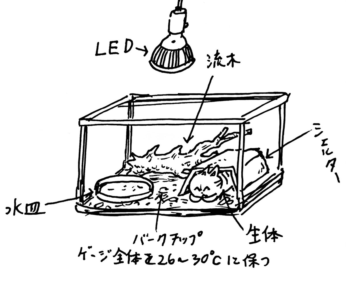 まとめ 