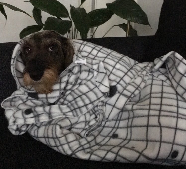 KRP Kyberkeskus tweet media