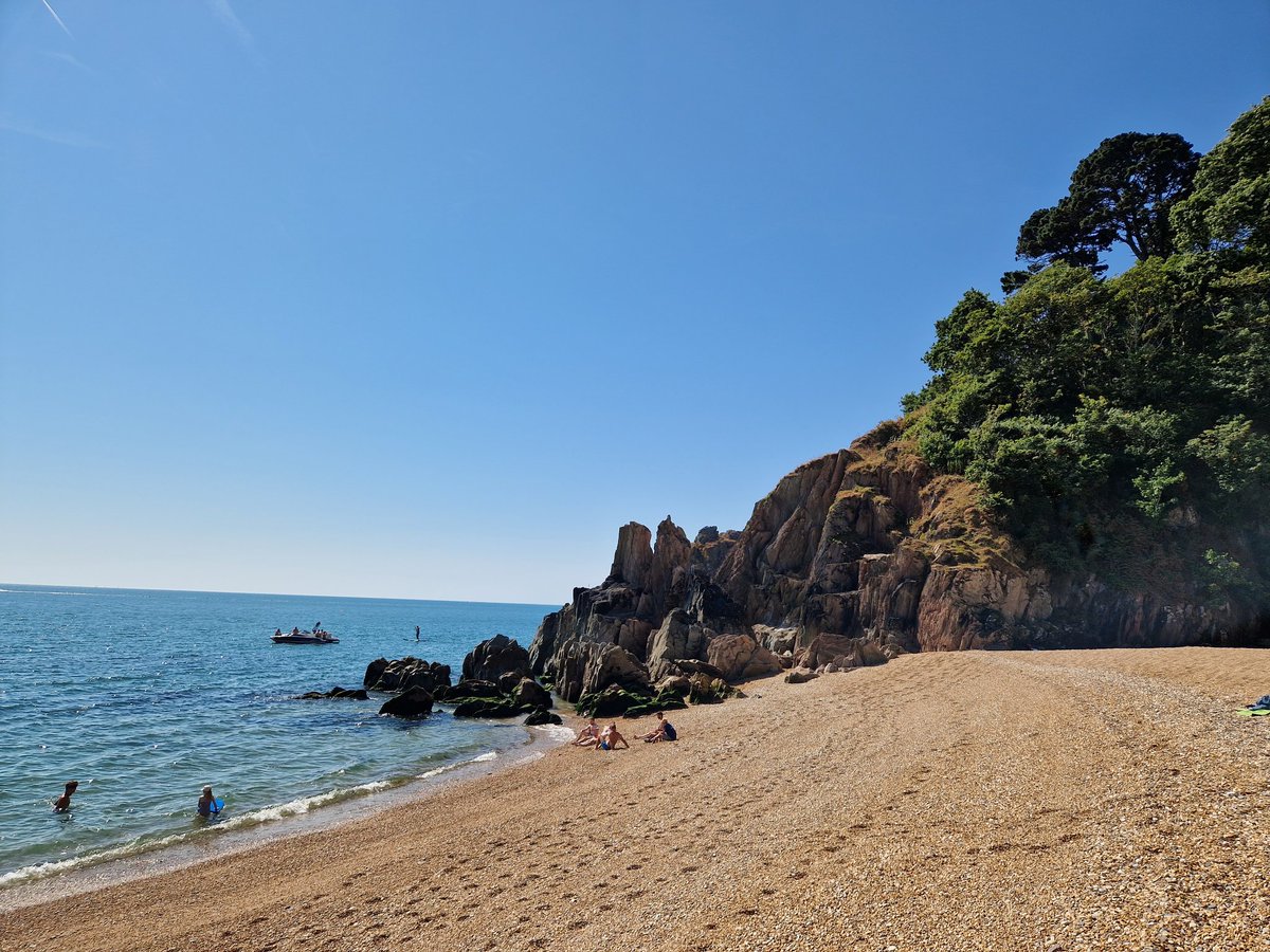 Andy Webb tweet media