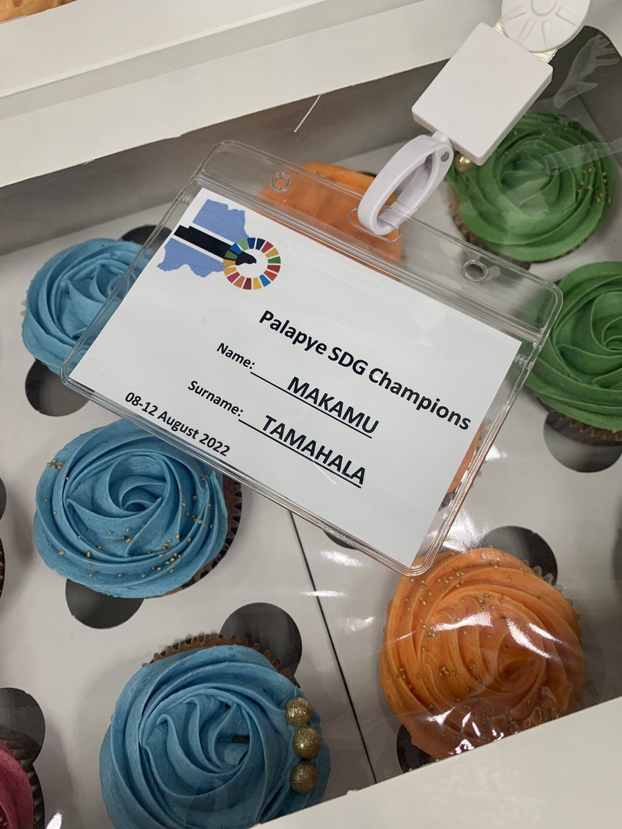 lillianmoremi's tweet photo. #Palapye and surrounding areas, #CakeHub by Makamu (BIUST research student) is your plug for cupcakes, cakesickles, cakes etc. #YouthInBusiness #PalapyeSDGsChampions #IYD2022  #CADF #ExchangeAlumni https://t.co/hOIhCcUVZn