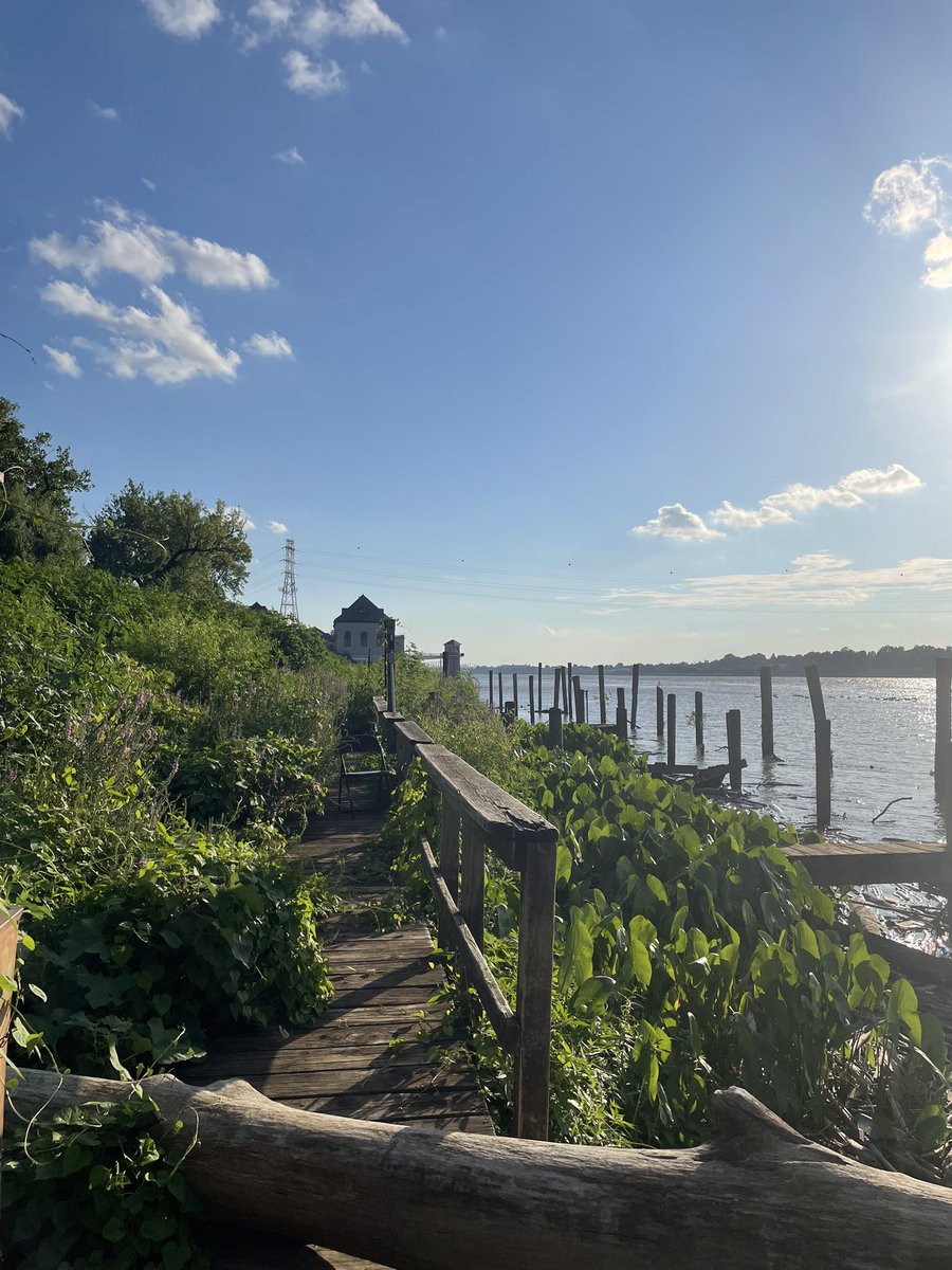VilleEverything's tweet photo. The last days of Summer on the Ohio from Turners on River Road. At left, #Louisville Water Tower Park can be seen in the distance toward the city. At right, ducks float contentedly down river.

Photo credit @mollygregory22 https://t.co/jZ24xooDOG