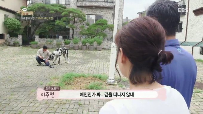 애인인가보ㅏ.. 떨어지질 않네..