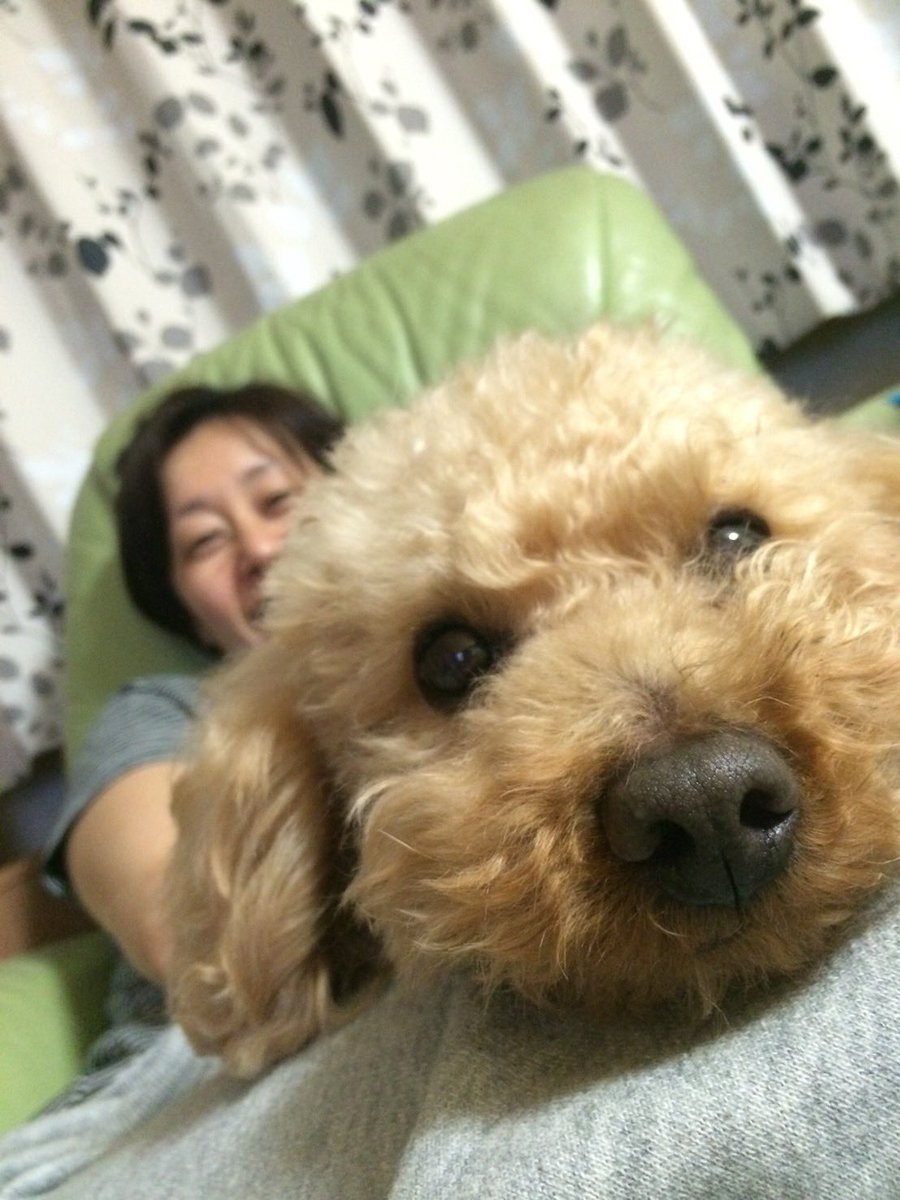 masu0_86's tweet photo. 明日愛犬が家に戻ってくる♪

だけど明日は実家の父の新盆だ… https://t.co/o6knkVzgxn