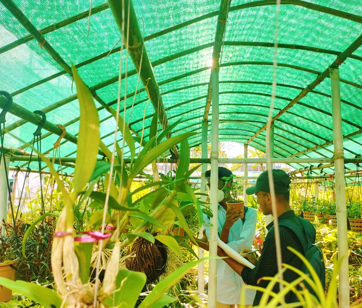 mdmihir01's tweet photo. Youthnet for Climate Justice Sylhet team visited and observed the Sylhet Divisional Tree Fair on World Youth Day.
#treefair #InternationalYouthDay #YouthDay2022 #ClimateEmergency #ClimateActionNow https://t.co/mrIcZiRAqJ